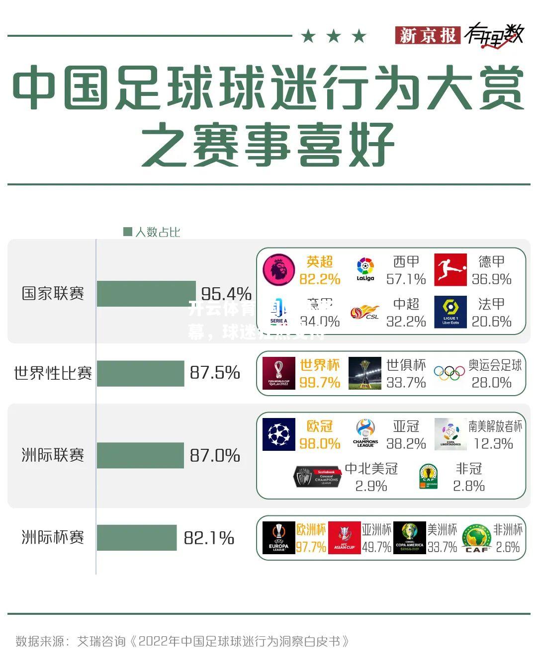 国际杯赛开幕，球迷狂热支持